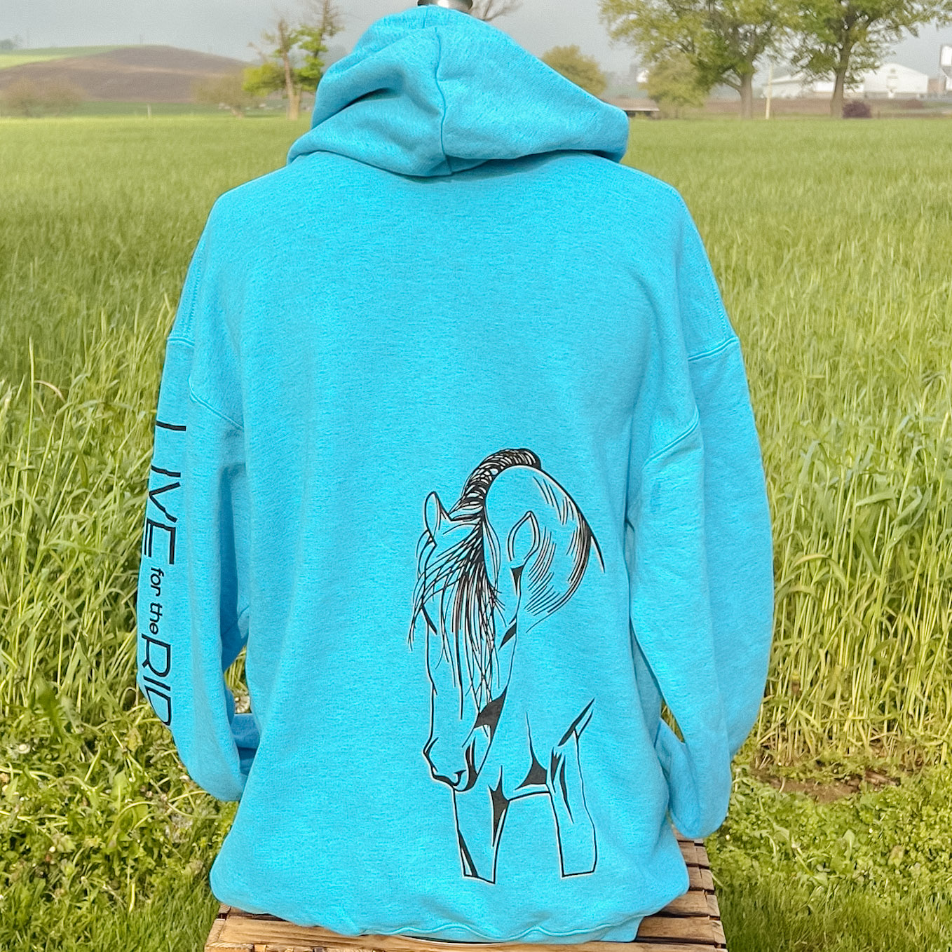 Cash Hoodie Heather Sapphire
