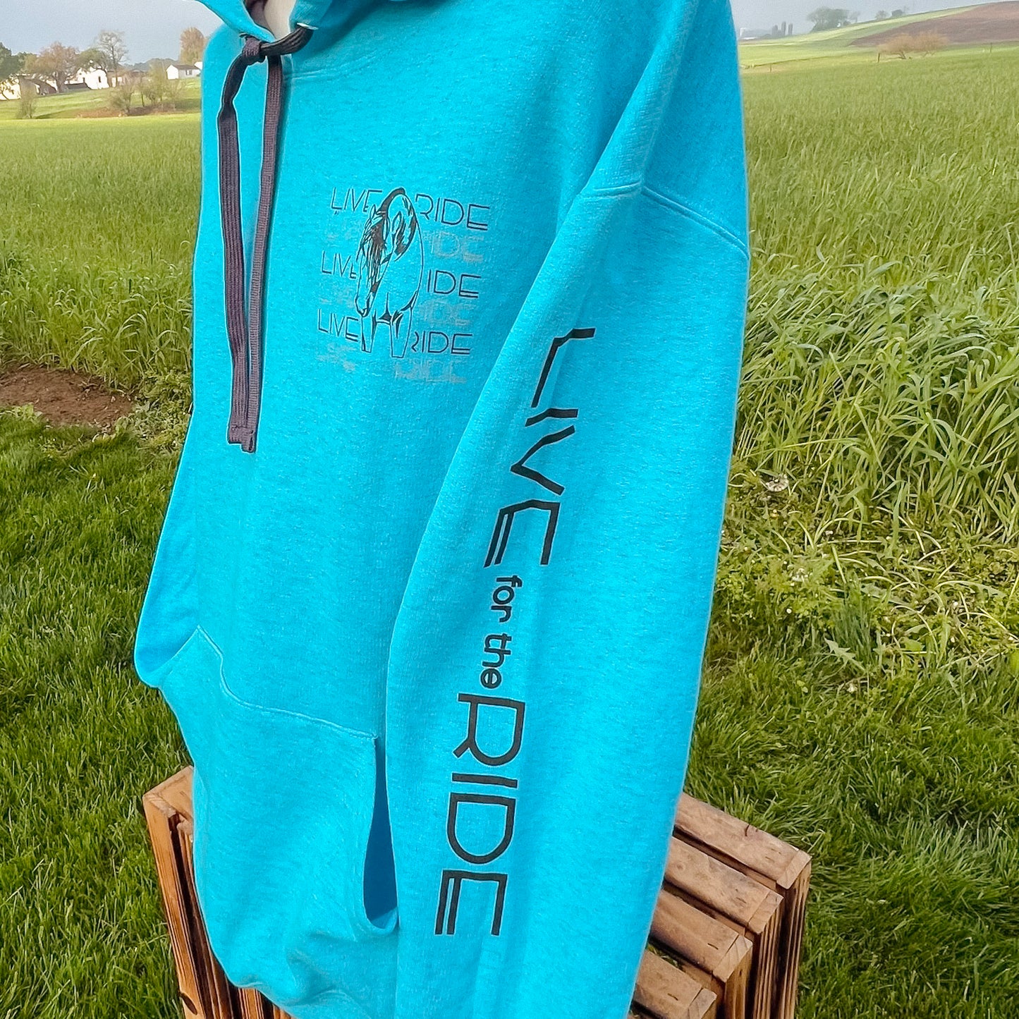 Cash Hoodie Heather Sapphire