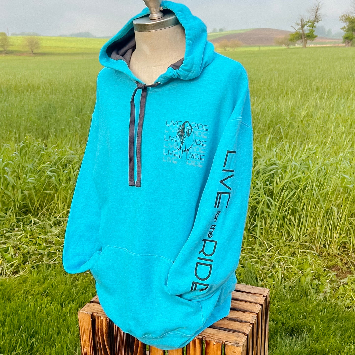 Cash Hoodie Heather Sapphire