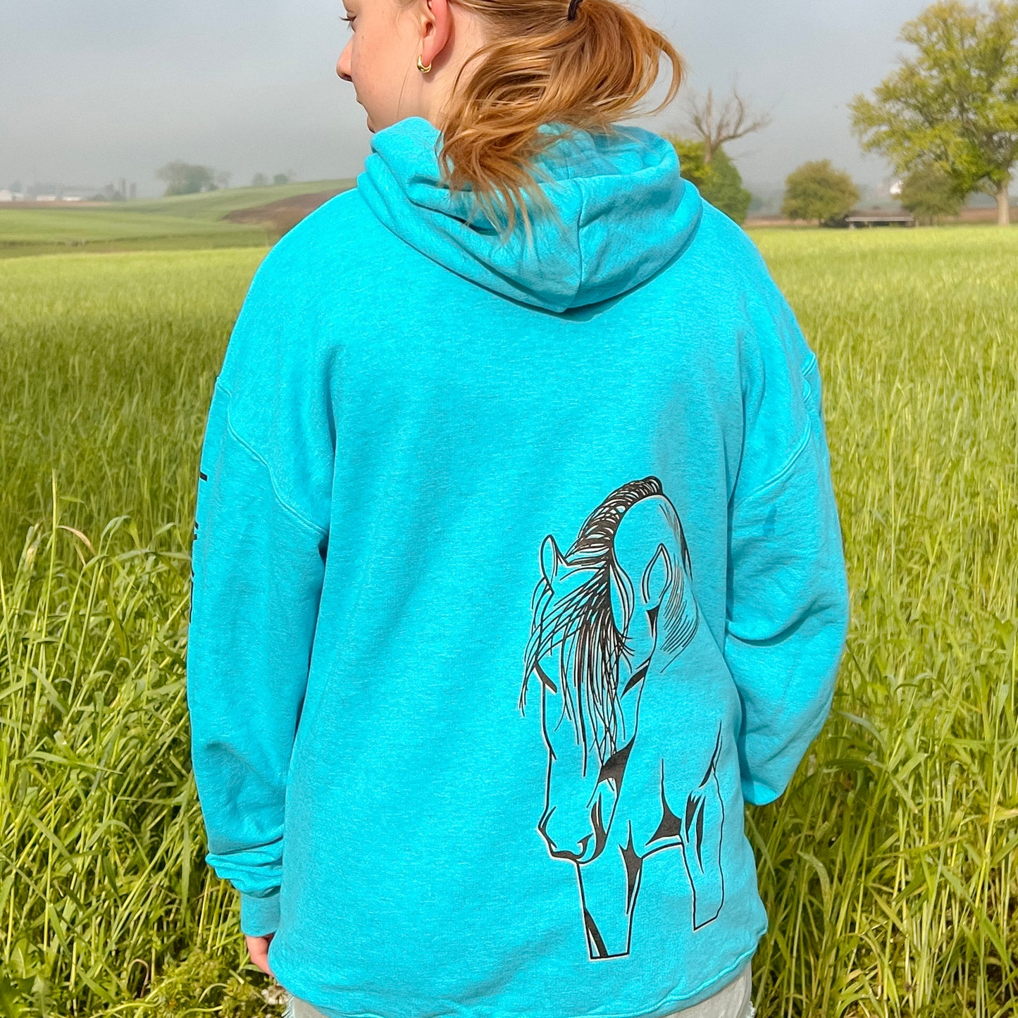 Cash Hoodie Heather Sapphire