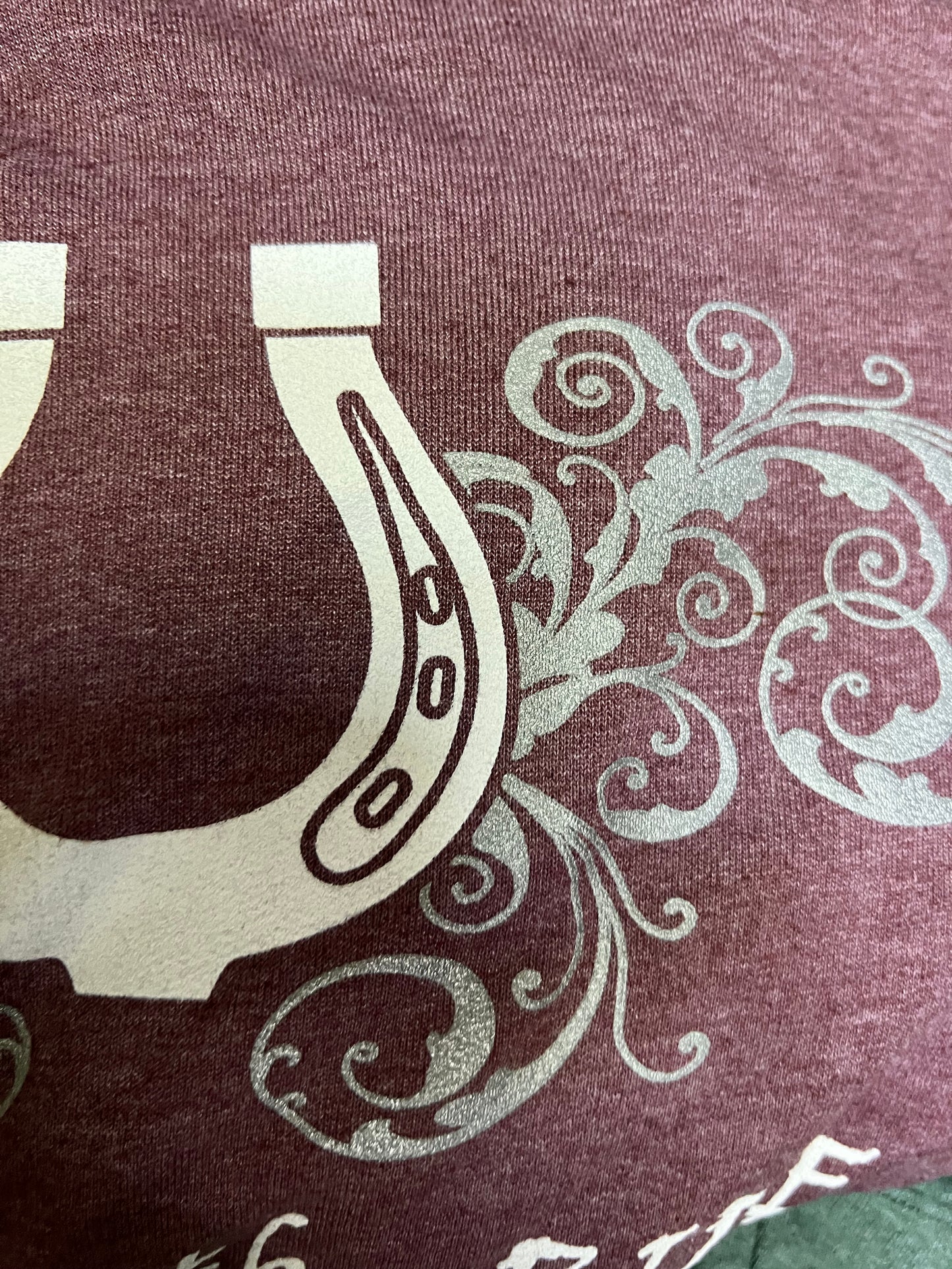 Horseshoe Horse Hoodie
