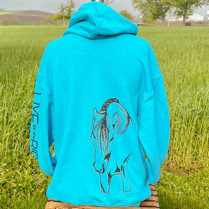 Cash Hoodie Heather Sapphire